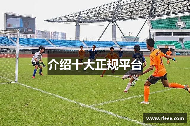 介绍十大正规平台